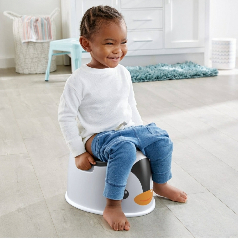 Fisher price potty
